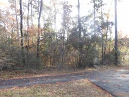 244 Lakewood Drive