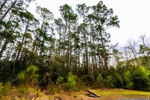 Lot 26 Breezeway