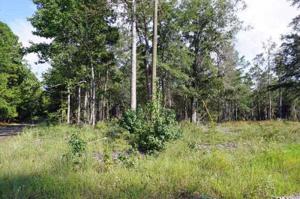 Lot 53,54,55 White Pine