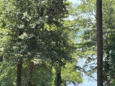 154 Cypress Royale W