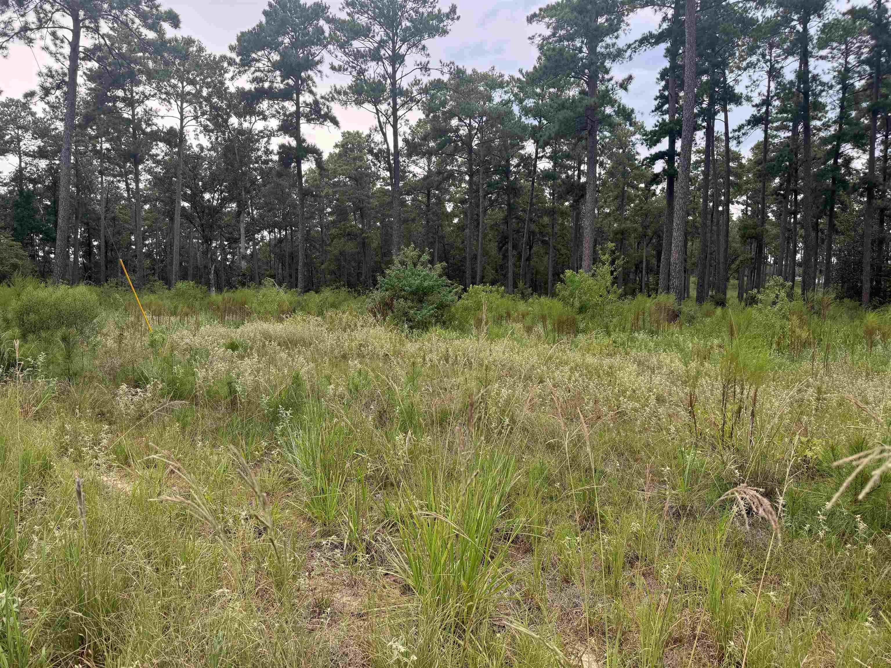 027 Private Road 6028, Brookeland, TX lhrmls02356686