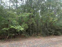 Lot 170, Section 17