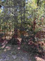 000 Deergrass Drive