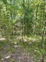 000 Tallowood Dr