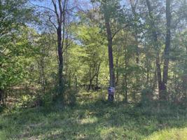 5208 US HWY 96