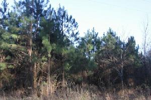 00 Co. Rd. 2139