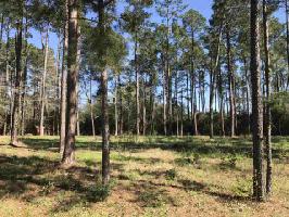 Lot  42 Sec 12 Beachrock