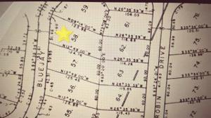 Section MH 1 Lot 58 Blue Jay