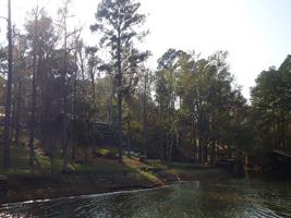 102 Rebel Ridge