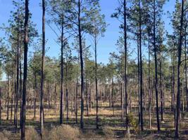 Tract 1-67 Private Road 6026