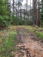 000 Teak Lane