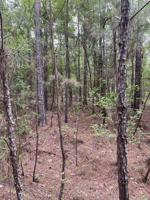 0 Crossridge Dr