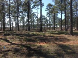 Lot 7 Section 4 Cypress Pointe