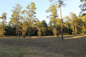 Sec 3 Lot 37 Tiger Creek Estate