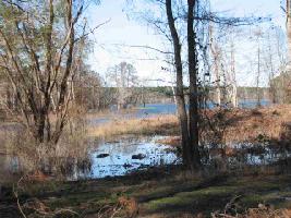000 Coves Loop Rd