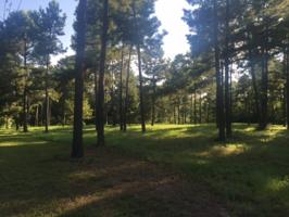 2105 Cedar Grove Road