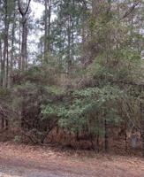 000 Drywood Lane