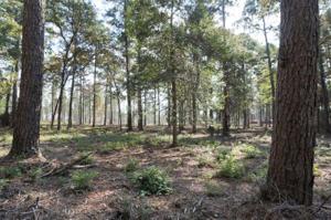 Tract #1-35 Private Road 6026