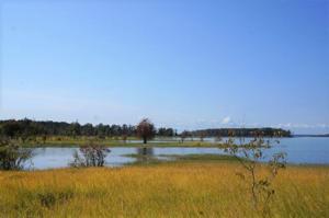 Tract #1-41 Private Road 6026