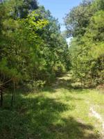 Hillside Drive Lot 30 Sec 34