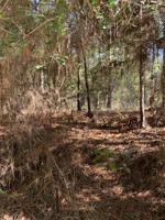 000 Spruce Lane