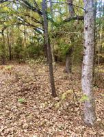 TBD Beech Dr
