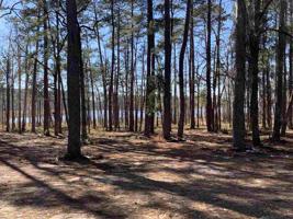 164 Private Road 6029