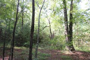 tbd Private Road 6010