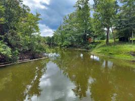 144 Hummingbird Ln