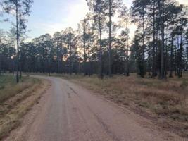Tract 1 Lot 91 PR 6026