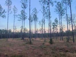 Tract 1 Lot 84 PR 6026