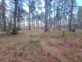 Tract 1 Lot 85 PR 6026