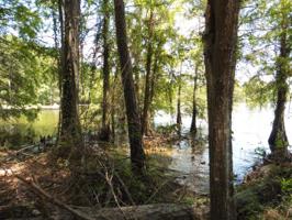 1186 Lakeshore Dr.