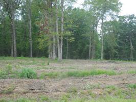 Lot 8 Laguna Shores #9