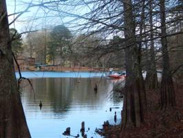 597 Falcon