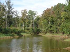 Pecan Estates Loop
