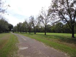 Pecan Estates Loop