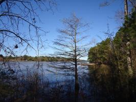 855 Crooked Arrow Point