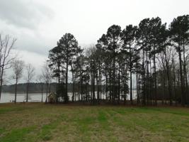 184 Cypress Royale E