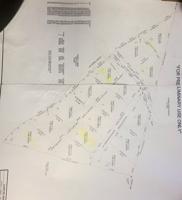 Tract #2 Lot 12 County Road 219