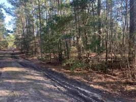 000 Tupelo Drive