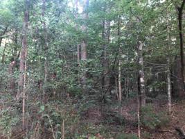 1179 Cedar Grove Rd