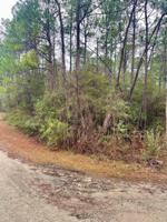000 Sweetbriar Dr