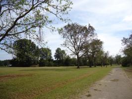 Pecan Estates Loop