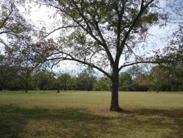 Pecan Estates Loop