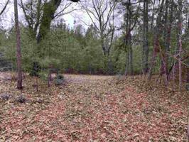 000 Red Oak