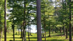 115 Coves Loop
