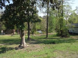290 Shiloh Dr
