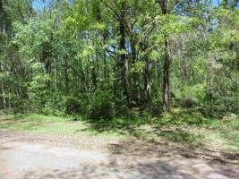 446 Ensign Dr