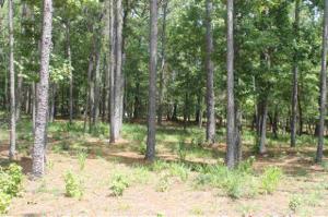 2427 Hwy 255